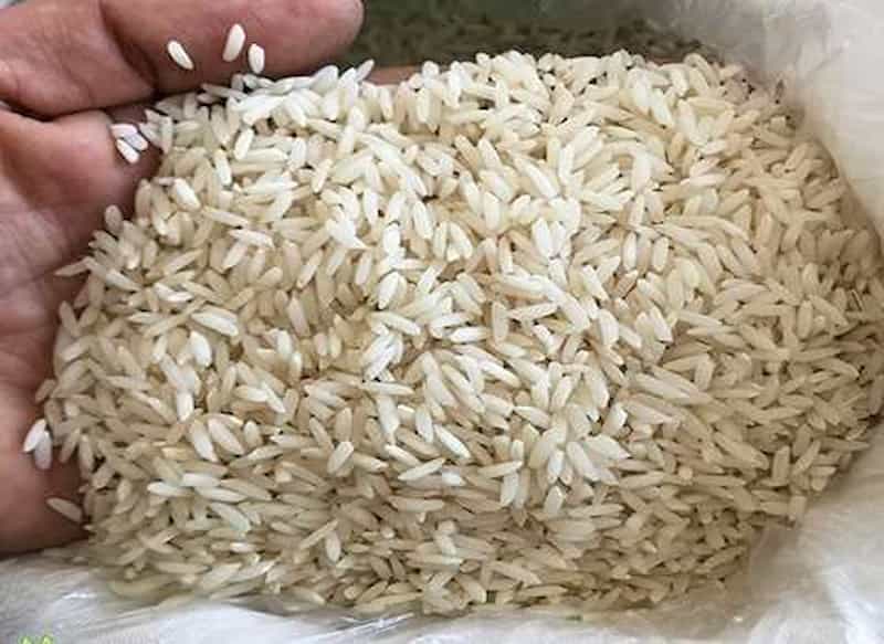 تصویر 4 از فروش برنج صدری هاشمی گیلان + قیمت خرید به صرفه